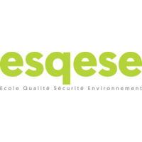 ESQESE (Ecole Qualité Sécurité-Santé Environnement) Lyon